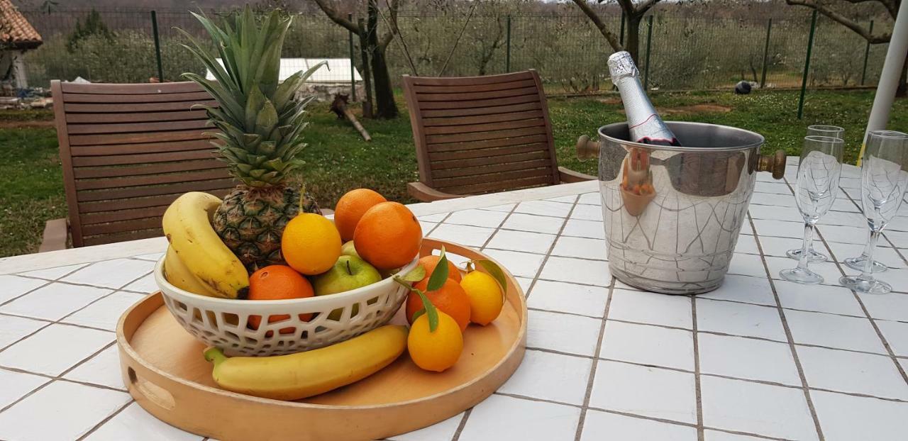 הוילה בוג'ה Casa Istria מראה חיצוני תמונה